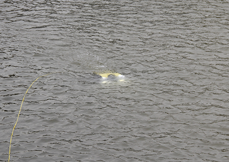 水下搜救偵察機器人